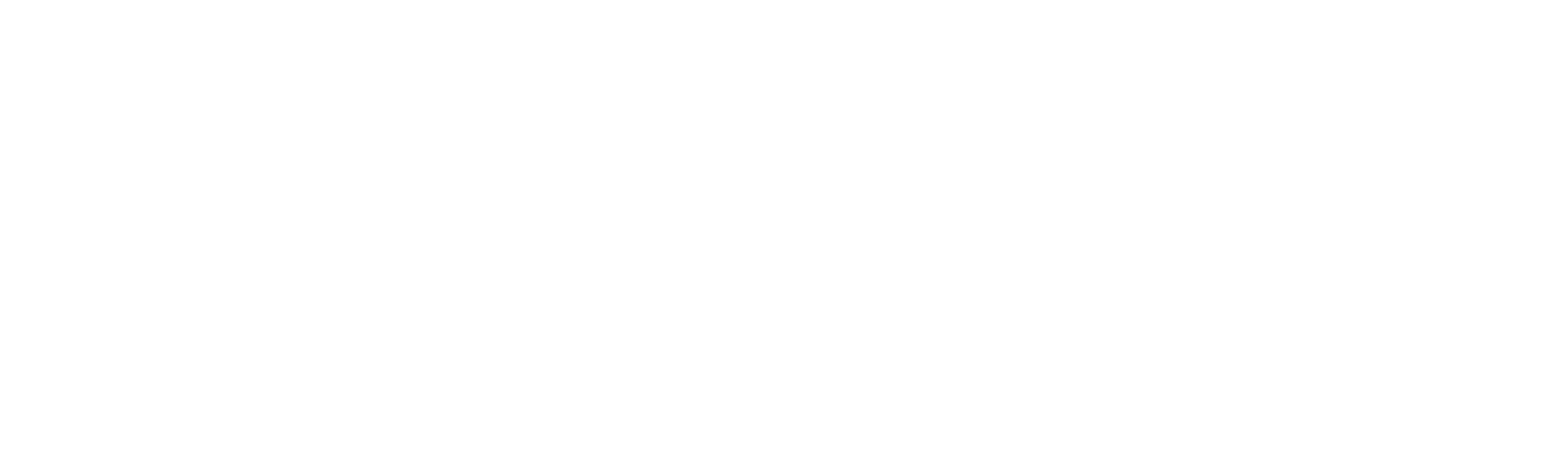 DataSmyth Logo